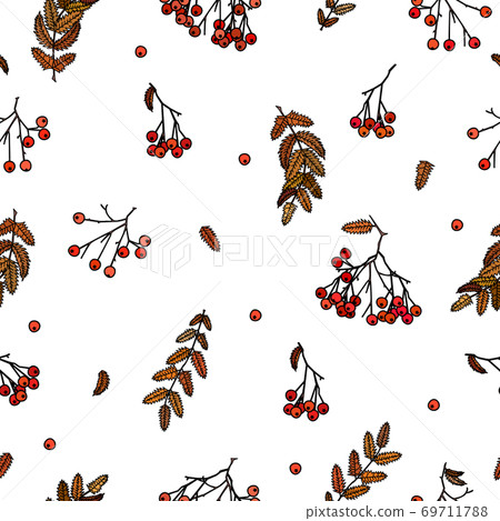Autumn theme of a cluster of rowanberries with and without a leaf, twigs with leaves, the possibility of binding, tile picture, the never-ending theme Autumn theme of a cluster of rowanberries with and without a leaf, twigs with leaves, the possibility of binding, tile picture, the never-ending theme 69711788