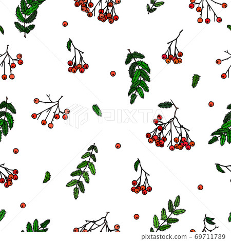 Autumn theme of a cluster of rowanberries with and without a leaf, twigs with leaves, the possibility of binding, tile picture, the never-ending theme Autumn theme of a cluster of rowanberries with and without a leaf, twigs with leaves, the possibility of binding, tile picture, the never-ending theme 69711789