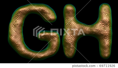 Letter set G, H made of realistic 3d render natural gold snake skin texture. 69711926