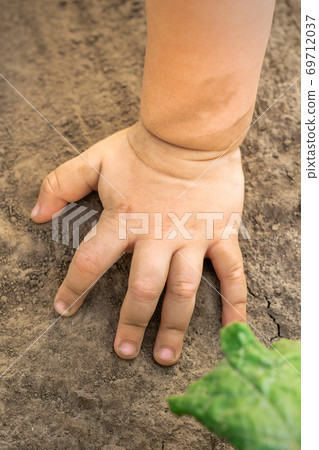 Child hand touch dry soil background Child hand touch dry soil background 69712037