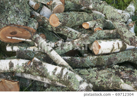 Stack of wood 69712304