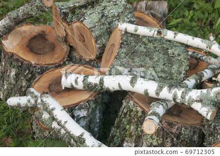 Stack of wood Stack of wood 69712305