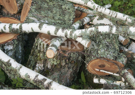 Stack of wood Stack of wood 69712306