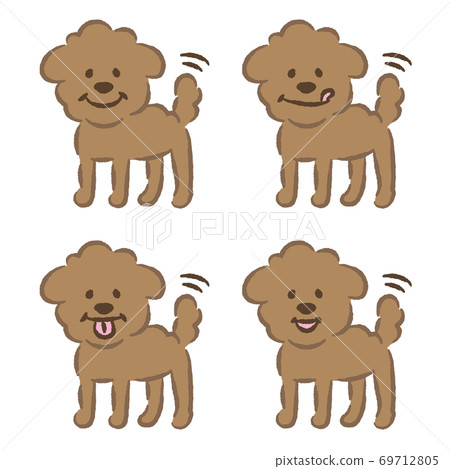 Toy poodle illustration Toy poodle illustration 69712805