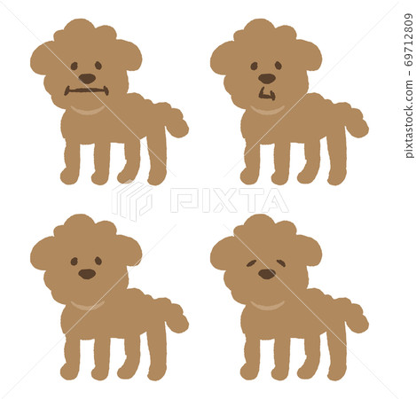 Toy poodle illustration - Stock Illustration [69712809] - PIXTA