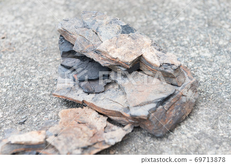 Mined lignite 69713878