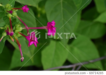 Yamadaike Park Yamadaike Park 69714285