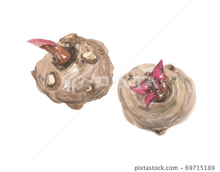 2個konnyaku土豆 2個konnyaku土豆 69715189