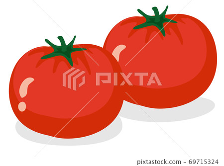 蔬菜插圖：番茄 食材、烹飪、材料 69715324