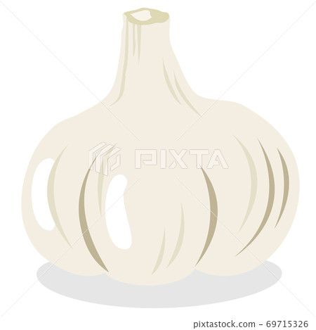 蔬菜大蒜 69715326