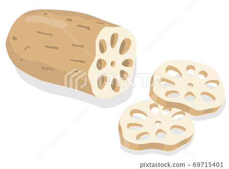 蓮藕蔬菜插圖,食材,烹飪,材料 蓮藕蔬菜插圖,食材,烹飪,材料 69715401