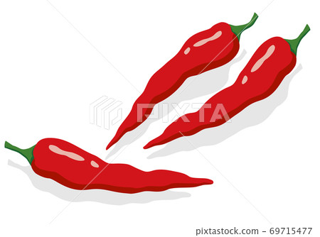 Vegetable illustration chili pepper ingredients, cooking, materials Vegetable illustration chili pepper ingredients, cooking, materials 69715477