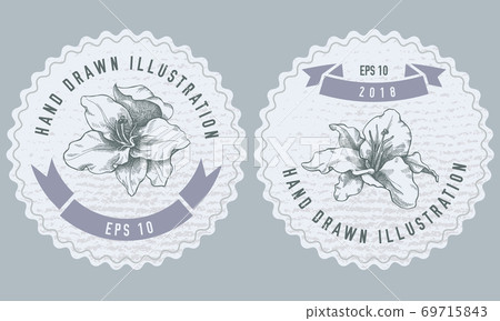 Monochrome labels design with illustration of lily Monochrome labels design with illustration of lily 69715843