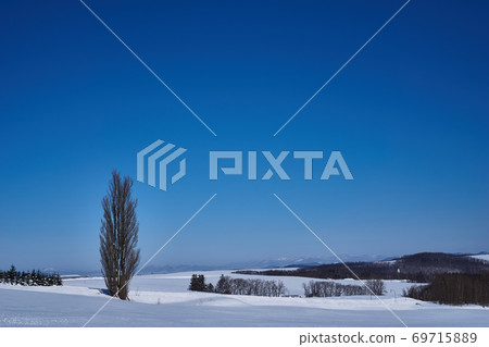  肯和瑪麗的樹 69715889