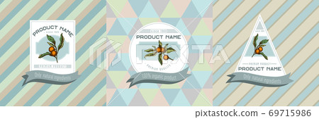 Three colored labels with illustration of solanum Three colored labels with illustration of solanum 69715986