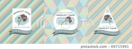 Three colored labels with illustration of rosemary everlasting Three colored labels with illustration of rosemary everlasting 69715991