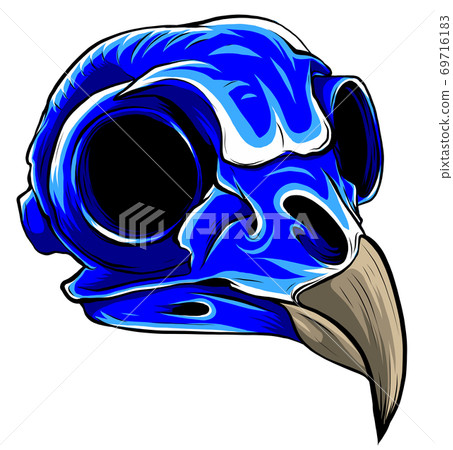 Vector Blue bird Tattoo Skull Illustration graphics art Vector Blue bird Tattoo Skull Illustration graphics art 69716183