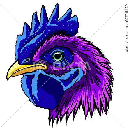 Rooster head, realistic vector illustration graphics art 69716190