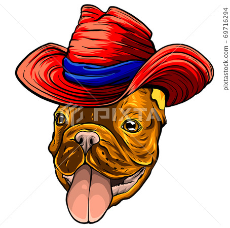 Bulldog, dog. Sombrero mexican hat. Portrait of cute animal. Bulldog, dog. Sombrero mexican hat. Portrait of cute animal. 69716294