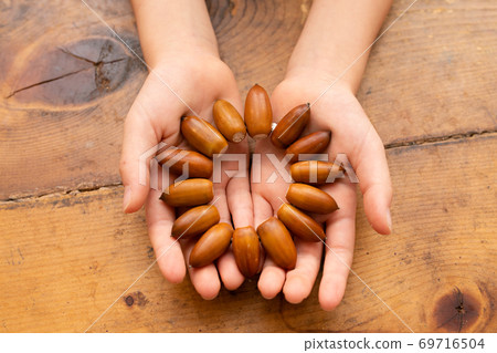 Handmade bracelet made of acorns Handmade bracelet made of acorns 69716504