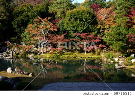 京都御苑花園的秋天龍寺 69716515