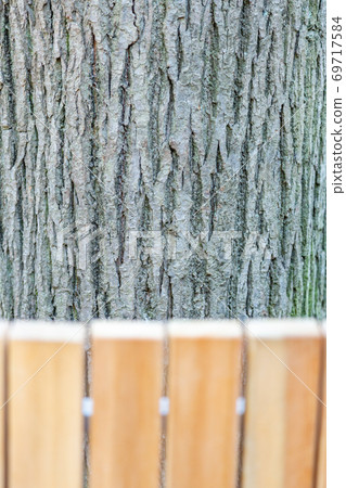 Texture of the bark of an old tree Texture of the bark of an old tree 69717584