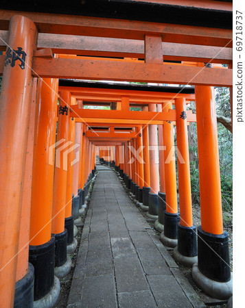 Senbon Torii of Fushimi Inari Taisha Shrine Senbon Torii of Fushimi Inari Taisha Shrine 69718737