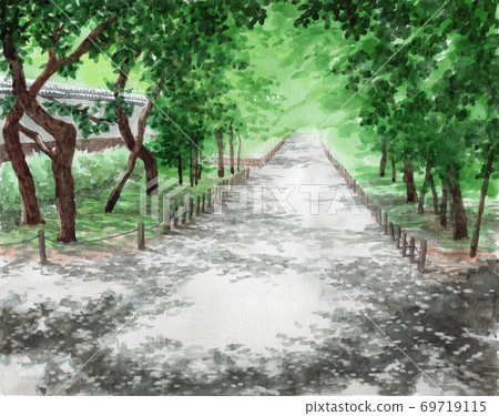 Early summer plum grove painted in watercolor 69719115
