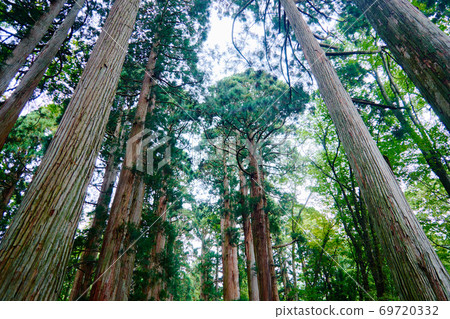 Togakushi Shrine_Okusha no Mori_No6 69720332