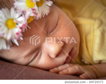Portrait of 8 days old newborn baby girl sleeping 69720571