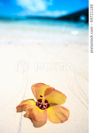 Blue sea and yuna flowers Blue sea and yuna flowers 69721188