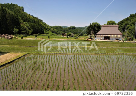 Hase no Satoyama paddy field Hase no Satoyama paddy field 69722336