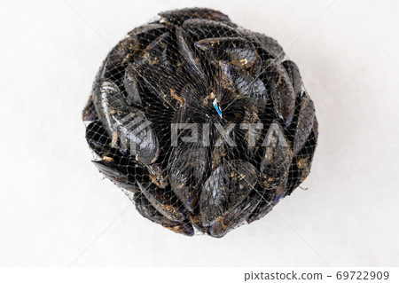 fresh raw mussel in the bag on ice 69722909