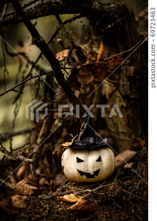 Halloween Pumpkin With Ugly Smile Wearing Black Witch Hat In Spooky Forest Halloween Pumpkin With Ugly Smile Wearing Black Witch Hat In Spooky Forest 69723463