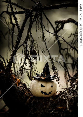 Halloween Pumpkin With Ugly Smile Wearing Black Witch Hat In  Spooky Forest 69723466