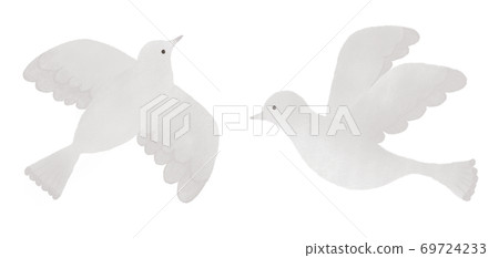 Illustration of white bird 69724233