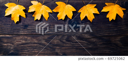 autumn background colorful foliage on wooden background 69725062