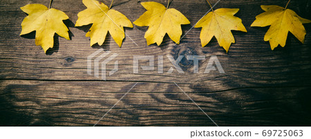 autumn background colorful foliage on wooden background 69725063
