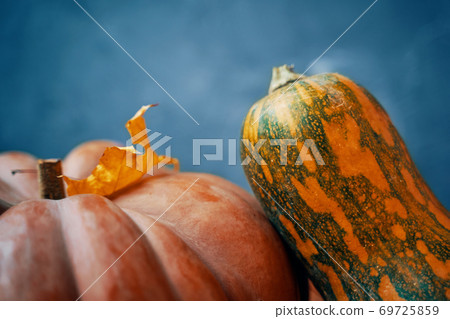 Two colorful pumpkins and a blue textured background. 69725859