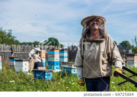 Beekeepers moving hand trolley with bee hives from apiary to extraction room. Preparing for honey extraction. 69725884