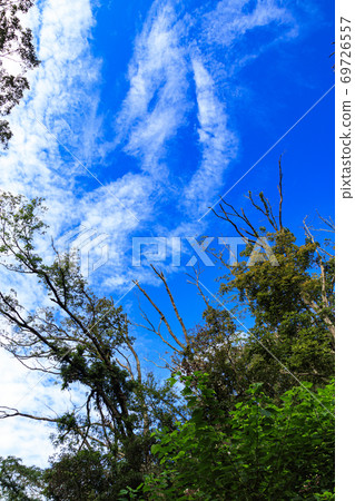 Unexplored Koajiro no Mori, Autumn Sunny and Clouds on the Shonan Miura Peninsula 69726557