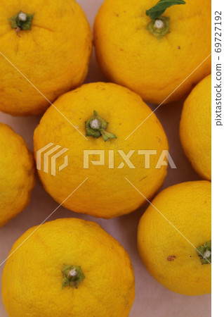 Kabosu fruit 69727192