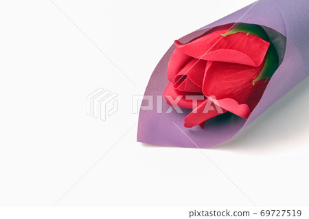 rose flower in a bouquet on a white background 69727519