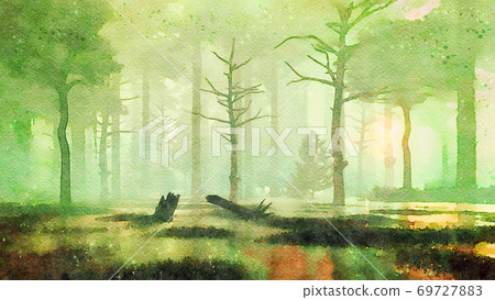Sunset in dark swampy forest watercolor landscape 69727883