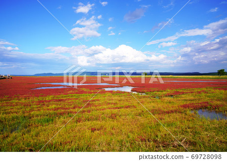 Lake Notoro coral grass community Lake Notoro coral grass community 69728098