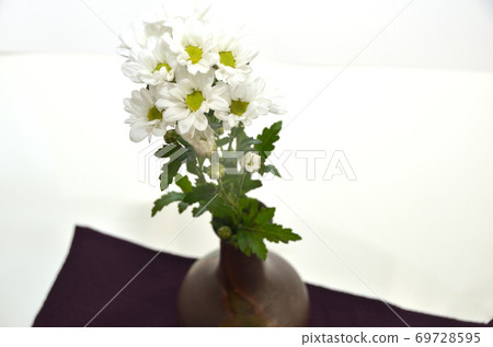 White chrysanthemum in a vase, purple underneath, funeral and Buddhist image White chrysanthemum in a vase, purple underneath, funeral and Buddhist image 69728595