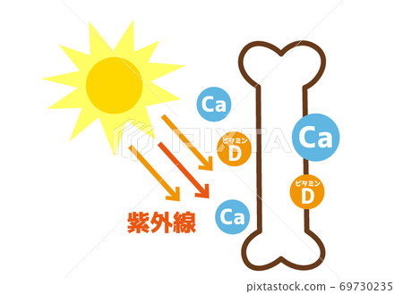 Figure that vitamin D is made when exposed to ultraviolet rays 69730235