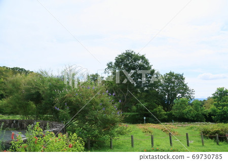 初秋公園聲優胡蘿蔔我的花 69730785