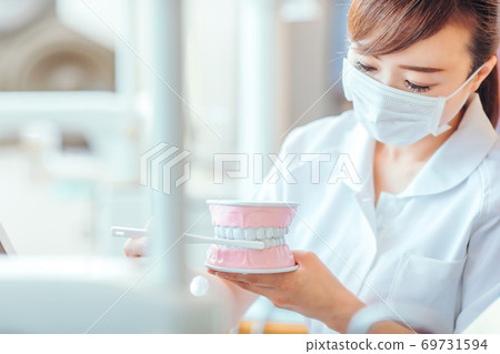Dental hygienist and tooth model Dental hygienist and tooth model 69731594