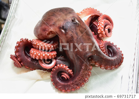 boiled octopus boiled octopus 69731717